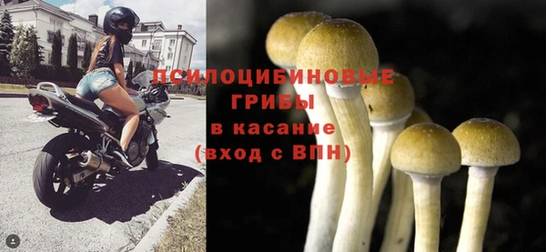 круглые Алзамай