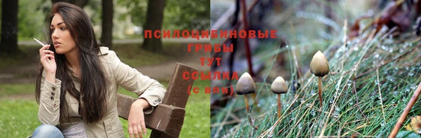 сатива Алексеевка